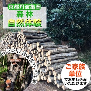 春休み 自然体験 親子でしいたけ原木菌打ち体験 きのこ キノコ きのこ キノコ