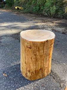 春休み 自然体験 親子で丸太切り体験 コースター・椅子製作体験（家族単位）体験 森林 日帰り ピクニック 京都 丹波 亀岡