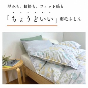 羽毛布団 シングル ホワイトダックダウン90％ 訳あり 布団