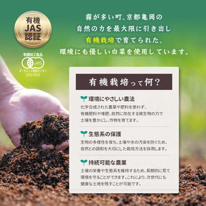 漬物【冷凍】オーガニック白菜 キムチ 1.2kg 漬物