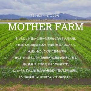 京都おりーぶ・京ぴくるす瓶詰6種 京つけものもり ピクルス