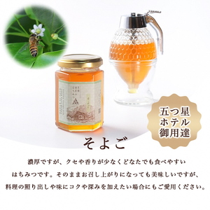 はちみつ プレミアムはちみつ 180g×2 HoneyWoods 訳あり