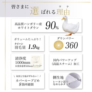 【パウダーグレー】羽毛布団 クイーンサイズ ハンガリーホワイトダウン90％ 掛布団 アクア