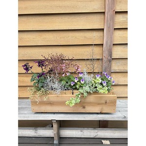 手作り木製プランターセット プランター