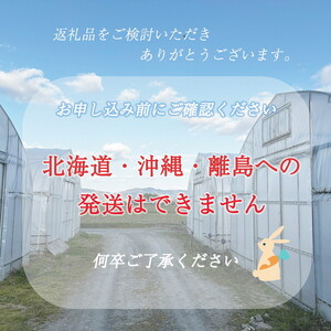 【12回定期便】野菜セット＋コシヒカリ2kg 米 野菜 米