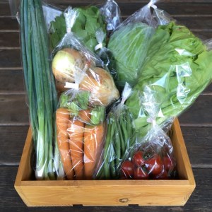 【定期便】京都長尾ファームの旬の野菜セット/隔月6回・1年コース《季節 京野菜 新鮮 産地直送》