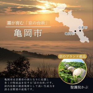 【ふるなびWEEK対象】おせち 京菜味のむら 二段重 冷凍おせち 32品 2026 先行予約 12月29日お届け FN-Limited-PR