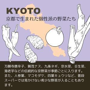 【4回定期便】丹波産の旬野菜セット 有機 野菜