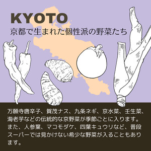 【10回定期便】丹波産の旬野菜セットDX 有機 野菜