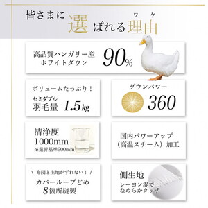 【アンバーホワイト】羽毛布団 セミダブルサイズ ハンガリーホワイトダウン90％ 掛布団 アクア