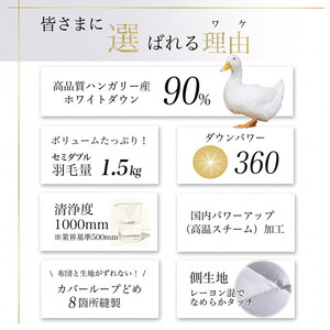 【パウダーグレー】羽毛布団 セミダブルサイズ ハンガリーホワイトダウン90% 掛布団 アクア