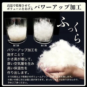 羽毛布団 セミダブル ホワイトダックダウン93％ 訳あり 布団 プレミア2