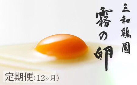 【TVで紹介】【12回定期便】卵 霧の卵 120個 定期便【北海道・沖縄・その他離島への配送不可】