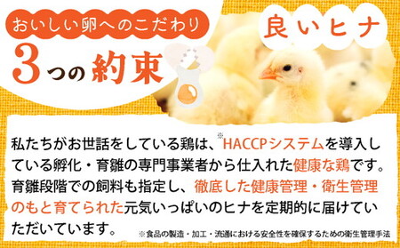 【TVで紹介】【12回定期便】卵 霧の卵 120個 定期便【北海道・沖縄・その他離島への配送不可】