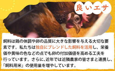 【TVで紹介】【12回定期便】卵 霧の卵 120個 定期便【北海道・沖縄・その他離島への配送不可】