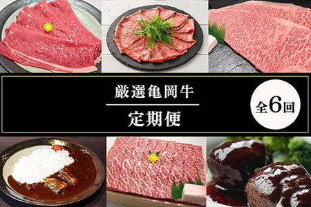 【6回定期便】亀岡牛お楽しみ 牛肉 食べ比べセット 牛肉