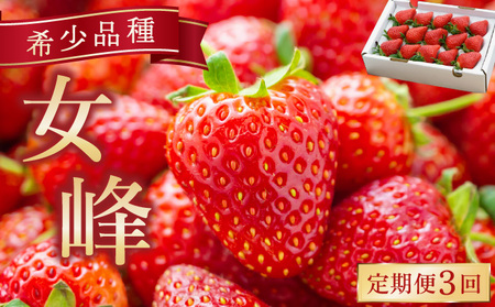【3回定期便】亀岡産いちご 女峰 1箱×3回 イチゴ