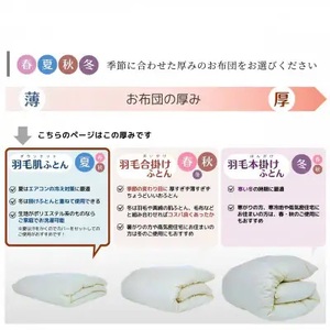 【肌掛け】羽毛布団 シングルサイズ ハンガリーホワイトダウン90％ 掛布団 アクア