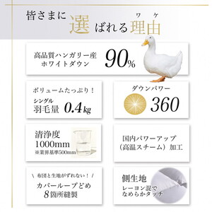 【肌掛け】羽毛布団 シングルサイズ ハンガリーホワイトダウン90％ 掛布団 アクア