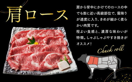 京丹波姫牛 肩ロース スライス 350g すき焼き すき焼き