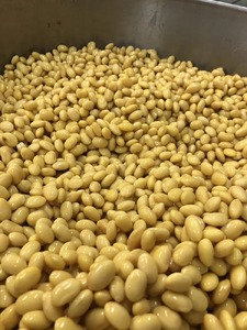 【TVで紹介！】続ける美豆乳7袋＋たま豆腐2球 豆腐