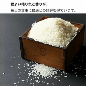 【令和7年産新米】京都丹波亀岡産 キヌヒカリ 5kg 精米 白米