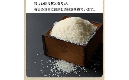 【12回定期便】令和7年産新米 コシヒカリ 10kg 定期便 精米 白米