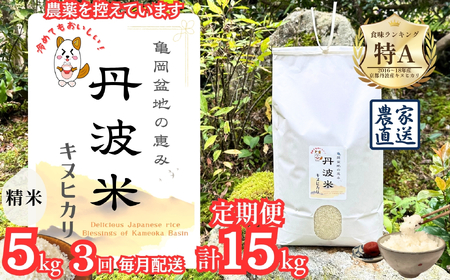 【令和7年産】新米 定期便 京都丹波産 キヌヒカリ 5kg×3回 計15kg 白米 精米