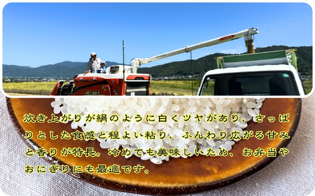 【令和7年産】新米 定期便 京都丹波産 キヌヒカリ 5kg×6回 計30kg 白米 精米