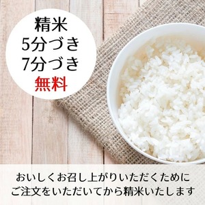 【3回定期便】令和7年産 こしひかり 玄米 5kg 玄米
