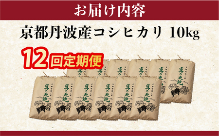【12回定期便】令和7年産 コシヒカリ 10kg 定期便 精米 白米