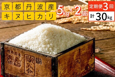 定期便】令和5年 新米 米 10kg 3ヶ月 京都丹波産 キヌヒカリ 白米＜JA
