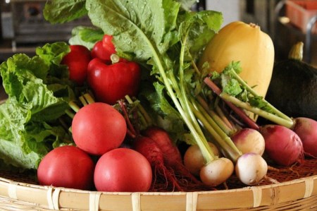 宿泊券＆自家農園野菜 温泉 京都 野菜定期便 年6回お届け【湯の花温泉 里山の休日 京都・烟河】ペア 1泊2食付 (露天風呂付 スイート客室） 野菜 定期便 野菜 セット 詰め合わせ 旬