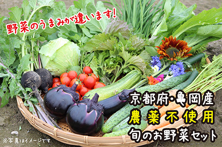 12回定期便】京都府・亀岡産 自然農法＆農薬を使わずに育てた体も心も喜ぶ、かたもとオーガニックファームの季節のお野菜セット 毎回10～20品目  ※離島への発送不可 野菜定期便 野菜セット 野菜詰め合わせ 旬野菜 珍しい野菜 | 京都府亀岡市 | ふるさと納税サイト「ふるなび」