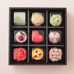 【2026年5月8日・9日発送】母の日 スイーツ 9個入 京都府「現代の名工」受賞 あずきの里謹製（JM-9）《和菓子 洋菓子 生菓子 詰合せ プレゼント 贈答》