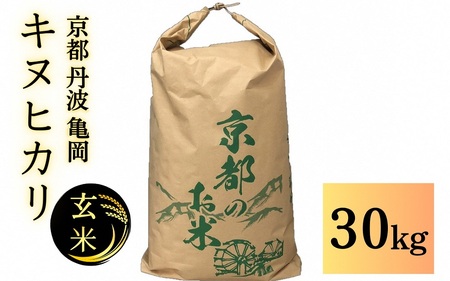 【令和6年産先行予約】米 キヌヒカリ 玄米 30kg〈アグリにのうみ〉京都・亀岡産◇ ※北海道・沖縄・離島への配送不可 ※2024年11月中に順次発送予定《令和6年産 低農薬米 減農薬米》