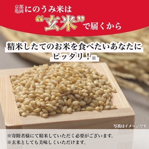 【令和6年産先行予約】米 キヌヒカリ 玄米 30kg〈アグリにのうみ〉京都・亀岡産◇ ※北海道・沖縄・離島への配送不可 ※2024年11月中に順次発送予定《令和6年産 低農薬米 減農薬米》