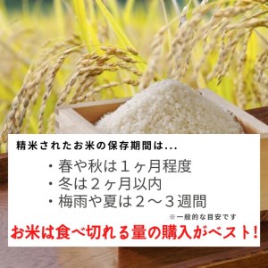 京都丹波米こしひかり 精米 定期便 6kg 3回 米定期便 白米定期便 新米定期便 お米定期便〇 ※北海道・沖縄・離島への配送不可 ※2025年3月以降順次発送（初回分）