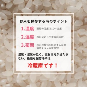 京都丹波米こしひかり 精米 定期便 6kg 3回 米定期便 白米定期便 新米定期便 お米定期便〇 ※北海道・沖縄・離島への配送不可 ※2025年3月以降順次発送（初回分）