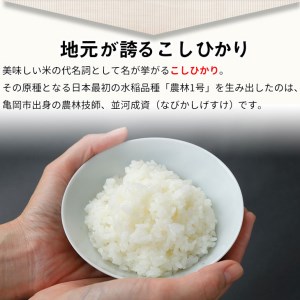 【定期便】令和6年産 新米 先行予約 京都丹波米こしひかり6kg (2kg×3袋) ×3回 計18kg 米 6kg 3ヶ月 白米 3回定期便 ※精米したてをお届け｜小分け 小袋 チャック付 米・食味鑑定士 厳選 コシヒカリ 京都丹波産※北海道・沖縄・離島への配送不可※2024年9月上旬以降順次発送予定