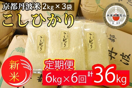 京都丹波米こしひかり 精米 定期便 6kg 6回 米定期便 白米定期便 新米定期便 お米定期便〇 ※北海道・沖縄・離島への配送不可 ※2025年3月以降順次発送（初回分）