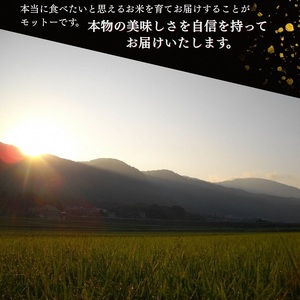 自然栽培米 にこまる 玄米 定期便 3kg×6回