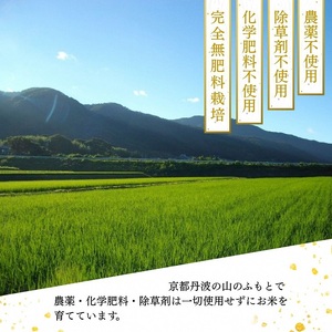 自然栽培米 にこまる 白米 定期便 3kg×6回