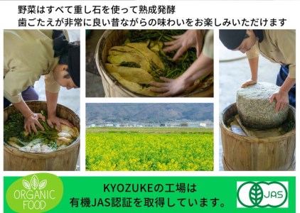 漬物 京のお野菜漬けセット 10種 京漬物 詰め合わせ漬物 亀岡漬物