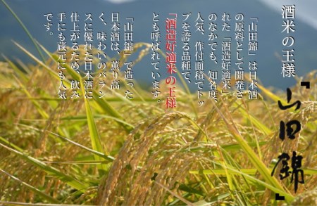 聚楽第 純米酒と聚楽第 純米大吟醸 720ml 各1本 計2本＜佐々木酒造 醸造＞日本酒 日本酒 日本酒 日本酒 日本酒 日本酒