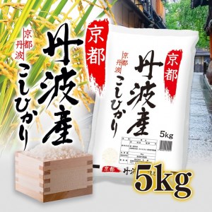 【令和7年産新米】京都丹波産こしひかり 5kg 精米 白米