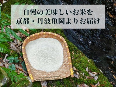 【令和6年産先行予約】米 白米 定期便 5kg×12ヶ月 60kg コシヒカリ 佐伯の里の源流米 ※北海道・沖縄・離島の配送不可 ※2024年10月以降発送予定≪希少 農家直送 令和6年産 新米 白米 5キロ 12回 低農薬米 減農薬米 京都丹波産 こしひかり 生活応援米 大人気お米 人気お米 新米 国産お米≫