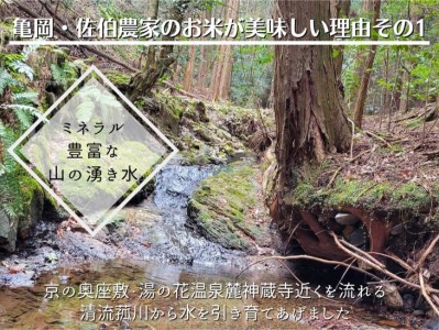 【令和6年産先行予約】米 白米 定期便 10kg×12ヶ月 120kg コシヒカリ 佐伯の里の源流米  ※北海道・沖縄・離島の配送不可 ※2024年10月以降発送予定≪希少 農家直送 令和6年産 新米 10キロ 12回 低農薬米 減農薬米 京都丹波産 こしひかり 生活応援米 大人気お米 人気お米 新米 国産お米≫