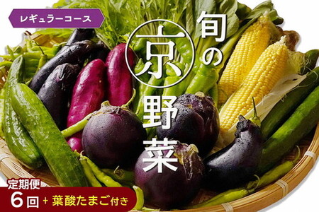 旬の京野菜セット レギュラーコース 6回定期便 野菜 TCP