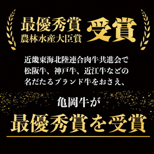 ＜亀岡牛専門店（有）木曽精肉店＞「亀岡牛サーロインステーキ」500g ※冷凍（冷蔵も指定可）  ☆祝！亀岡牛 2021年最優秀賞（農林水産大臣賞）受賞